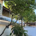 Casa Em Porto - Casa Beija Flor
